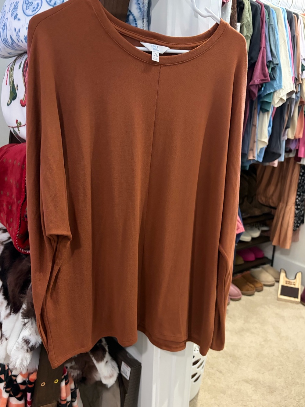 Time and Tru Long Sleeve Crewneck Top in Rust Brown